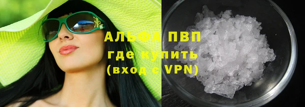 стаф Арсеньев