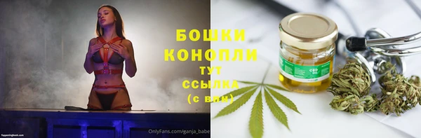 ALPHA PVP Усмань