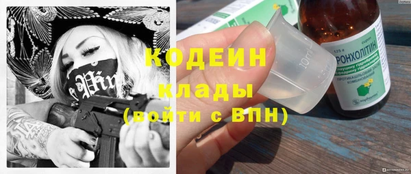 стаф Арсеньев