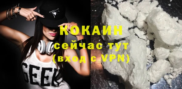 шишки Абинск