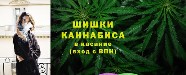 стаф Арсеньев