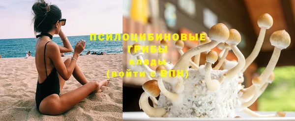 винт Абаза