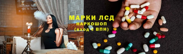 стаф Арсеньев